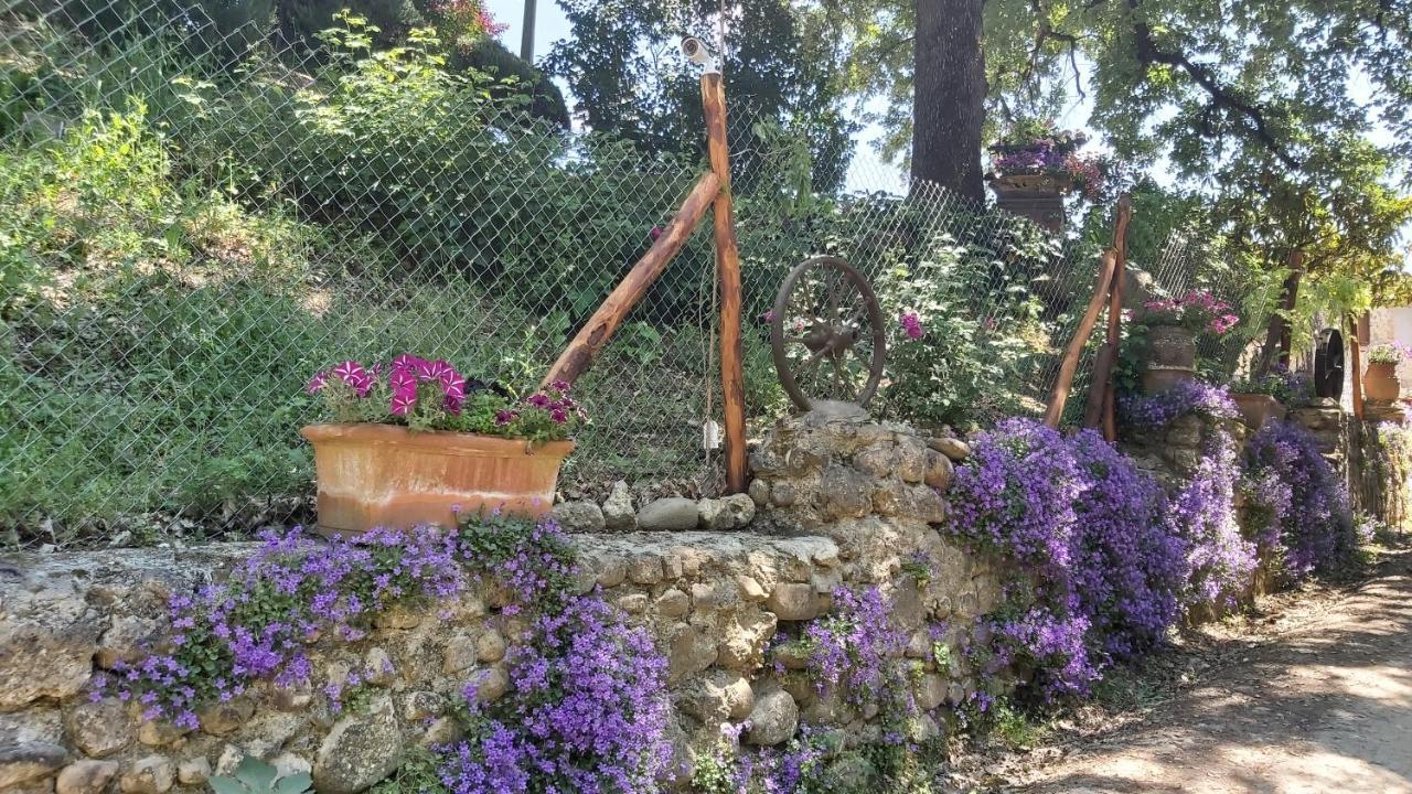 La Limonaia Country House Monteriggioni Luaran gambar